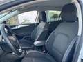 Ford Focus 1.5 EcoBlue 120CV SW Business Bianco - thumbnail 14