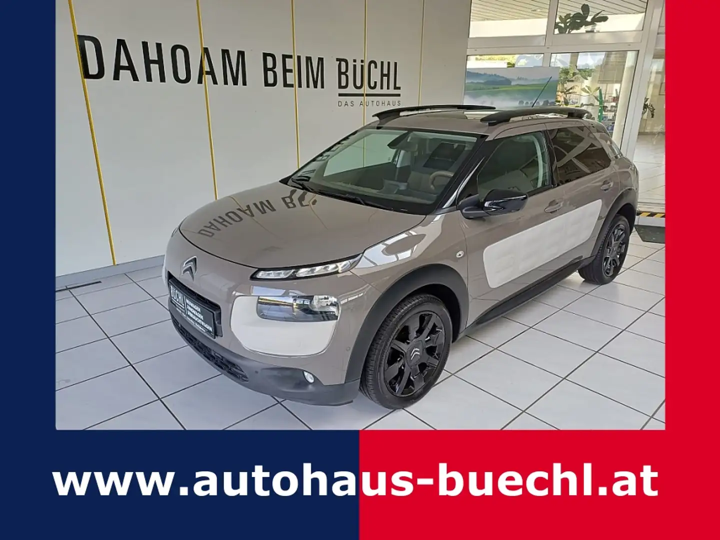 Citroen C4 Cactus 1,6 BHDI Shine Beige - 1