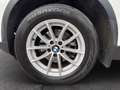 BMW X3 Weiß - thumbnail 25