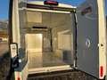 Citroen Jumper 35 BlueHDi 165 S&S L4H2 FRIGO Wit - thumbnail 15