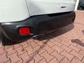 Jeep Renegade Renegade 2019 1.6 mjt Limited 2wd 120cv Bianco - thumbnail 6