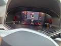 SEAT Arona 1.0 TSI FR NAVI LED PDC APP FACEL. ALU Rot - thumbnail 15