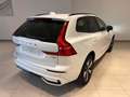 Volvo XC60 T6 Plug-in hybrid AWD AUT. PLUS DARK Bianco - thumbnail 2