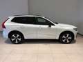 Volvo XC60 T6 Plug-in hybrid AWD AUT. PLUS DARK Bianco - thumbnail 3