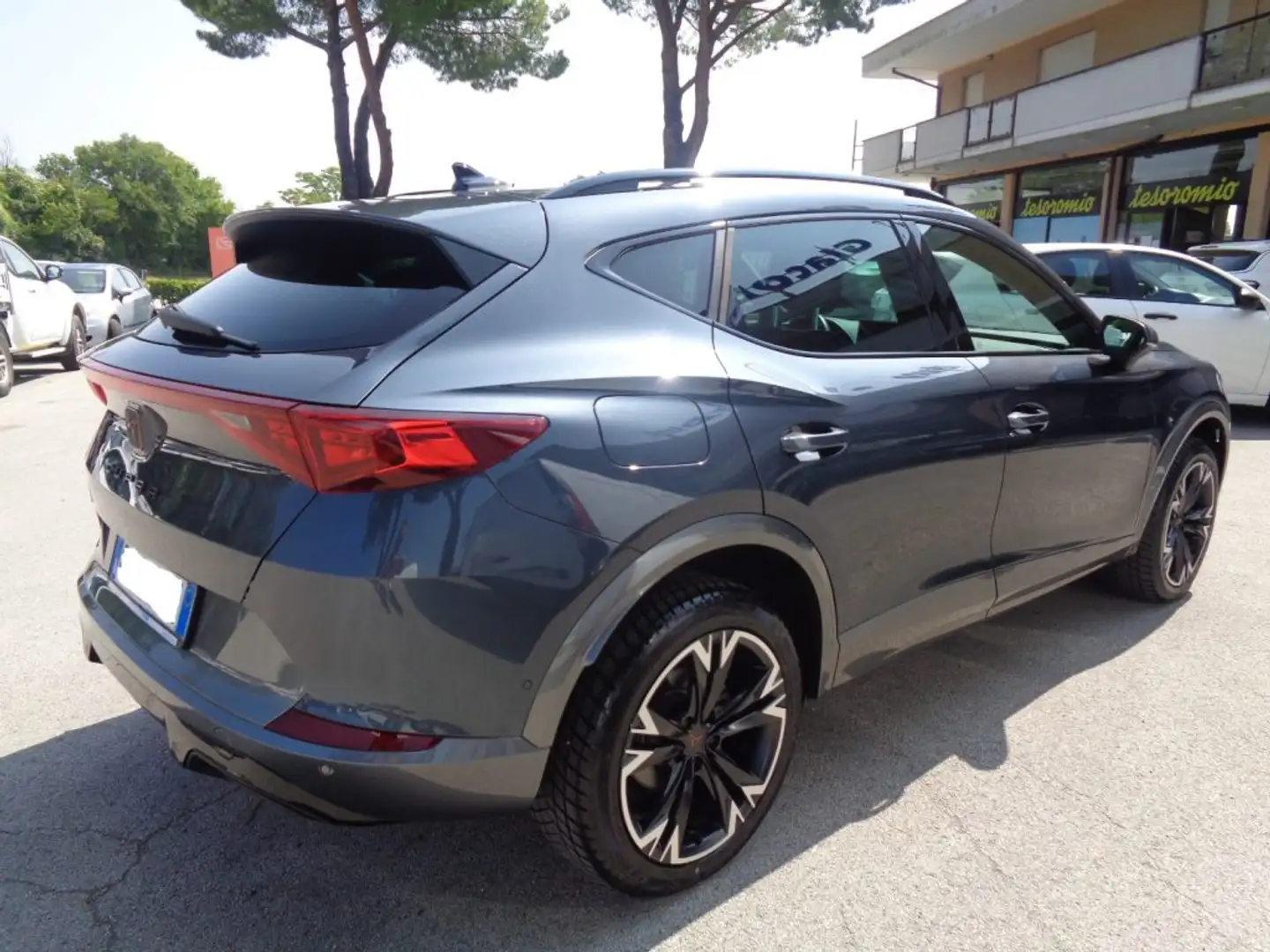 CUPRA Formentor 2.0 TDI 4Drive DSG Grigio - 2