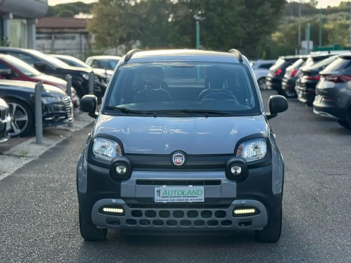 Fiat Panda 1.0 FireFly S&S Hybrid UniPro  UConnect 7 Pollici - 2