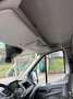 Ford Transit 2.0 EcoBlue Weiß - thumbnail 18