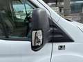 Ford Transit 2.0 EcoBlue Weiß - thumbnail 29