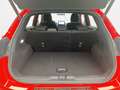 Ford Puma 1,0EcoBoost ST-LINE 125PS 6Gang *AHK *Kamera *adap.Tempomat Rood - thumbnail 15