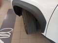Toyota Yaris Cross Yaris Cross 1.5 Hybrid 5p. E-CVT Adventure Weiß - thumbnail 22