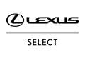 Lexus IS 300 300h Executive Rojo - thumbnail 4