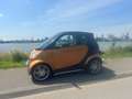 smart city-coupé/city-cabrio Overig cabrio Bronz - thumbnail 2