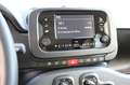 Fiat Panda PANDA FIREFLY HYB 70 Rojo - thumbnail 10