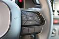 Fiat Panda PANDA FIREFLY HYB 70 Rojo - thumbnail 12