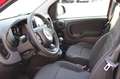 Fiat Panda PANDA FIREFLY HYB 70 Rojo - thumbnail 5