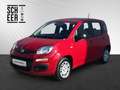 Fiat Panda PANDA FIREFLY HYB 70 Rojo - thumbnail 1
