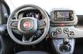 Fiat Panda PANDA FIREFLY HYB 70 Rojo - thumbnail 7