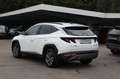 Hyundai TUCSON Tucson 1.6 T-GDI Trend Mild-Hybrid 2WD Navi/LM LED Weiß - thumbnail 5