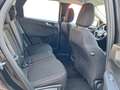 Ford Kuga Titanium Hybrid FHEV AWD Schwarz - thumbnail 18