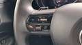 Alfa Romeo Junior Ibrida Speciale 1.2 MHEV e-DCT6 Grau - thumbnail 21