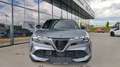 Alfa Romeo Junior Ibrida Speciale 1.2 MHEV e-DCT6 Grau - thumbnail 12