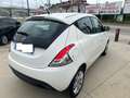 Lancia Ypsilon 1.3 mjt Gold Bianco - thumbnail 6