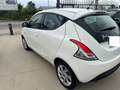 Lancia Ypsilon 1.3 mjt Gold Bianco - thumbnail 4