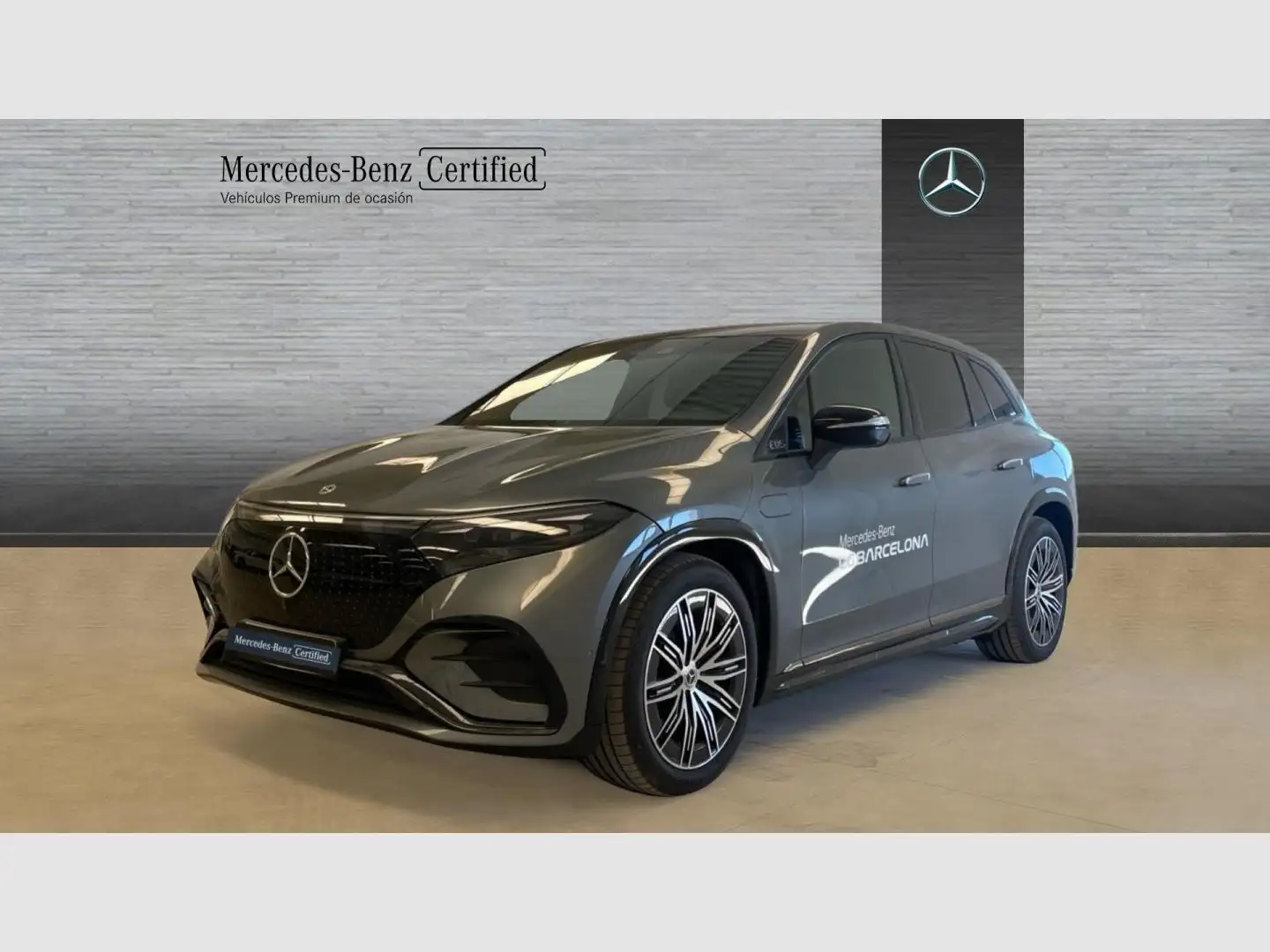 Mercedes-Benz EQS 450 4MATIC[0-803+0-053] Gris - 1