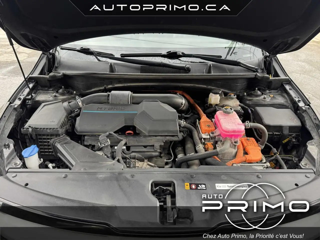 Kia Sportage снимка Kia Sportage