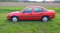 Opel Vectra Vectra GLS Czerwony - thumbnail 12