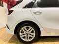 Kia Ceed / cee'd 1.0 T-GDI Eco-Dynamics Drive 120 Blanc - thumbnail 13