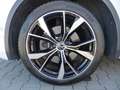 Volkswagen Tiguan .2.0R-LINE.4MOTION.NAVI.AHK.KAMERA.AUTO Klima Weiß - thumbnail 15