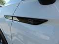 Volkswagen Tiguan .2.0R-LINE.4MOTION.NAVI.AHK.KAMERA.AUTO Klima Weiß - thumbnail 10