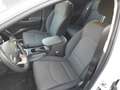Hyundai i30 1.0 Trend Mild-Hybrid RFK, Sitzheizung, Apple Carp Weiß - thumbnail 7