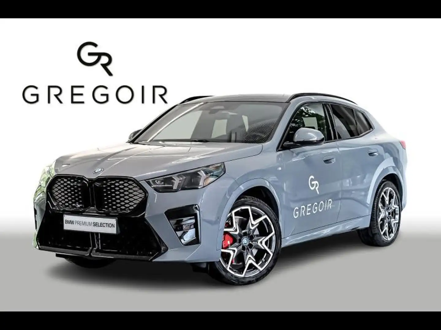 BMW iX2 xDrive30 Gri - 1