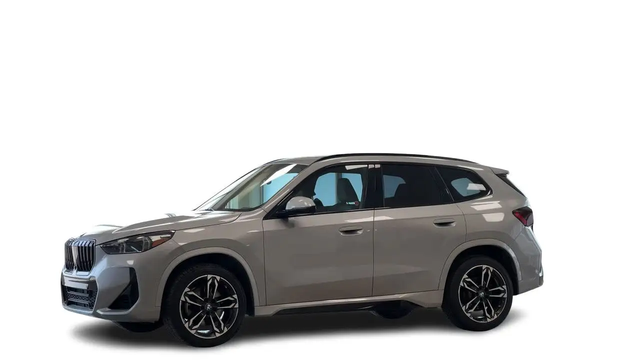 BMW X1 photo BMW X1