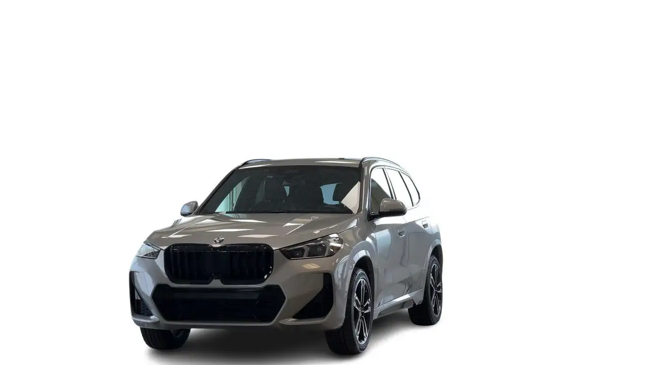 BMW X1 photo BMW X1