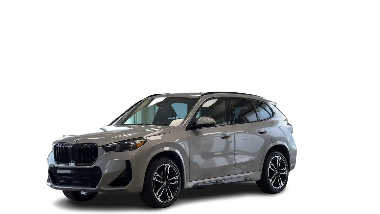 BMW X1 photo BMW X1