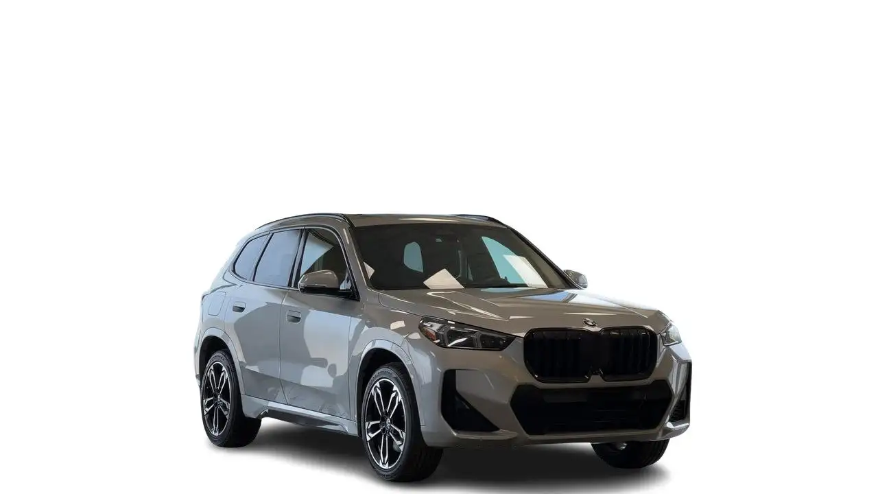 BMW X1 photo BMW X1