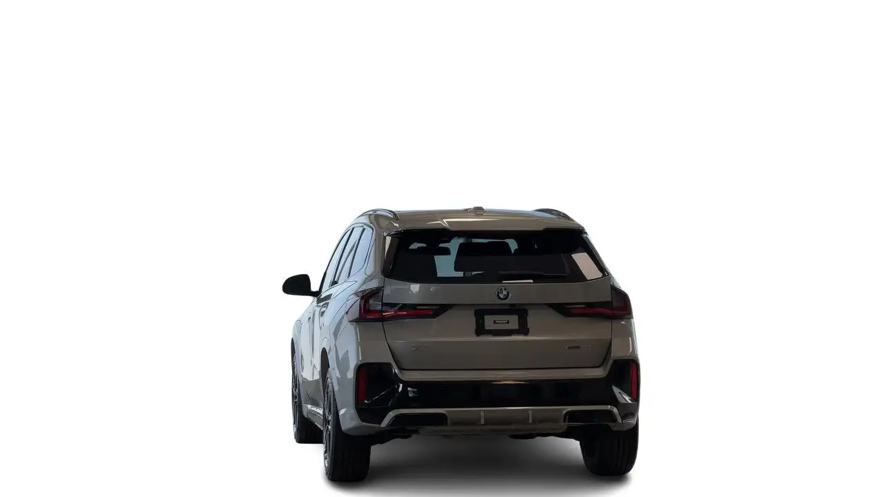 BMW X1 photo BMW X1