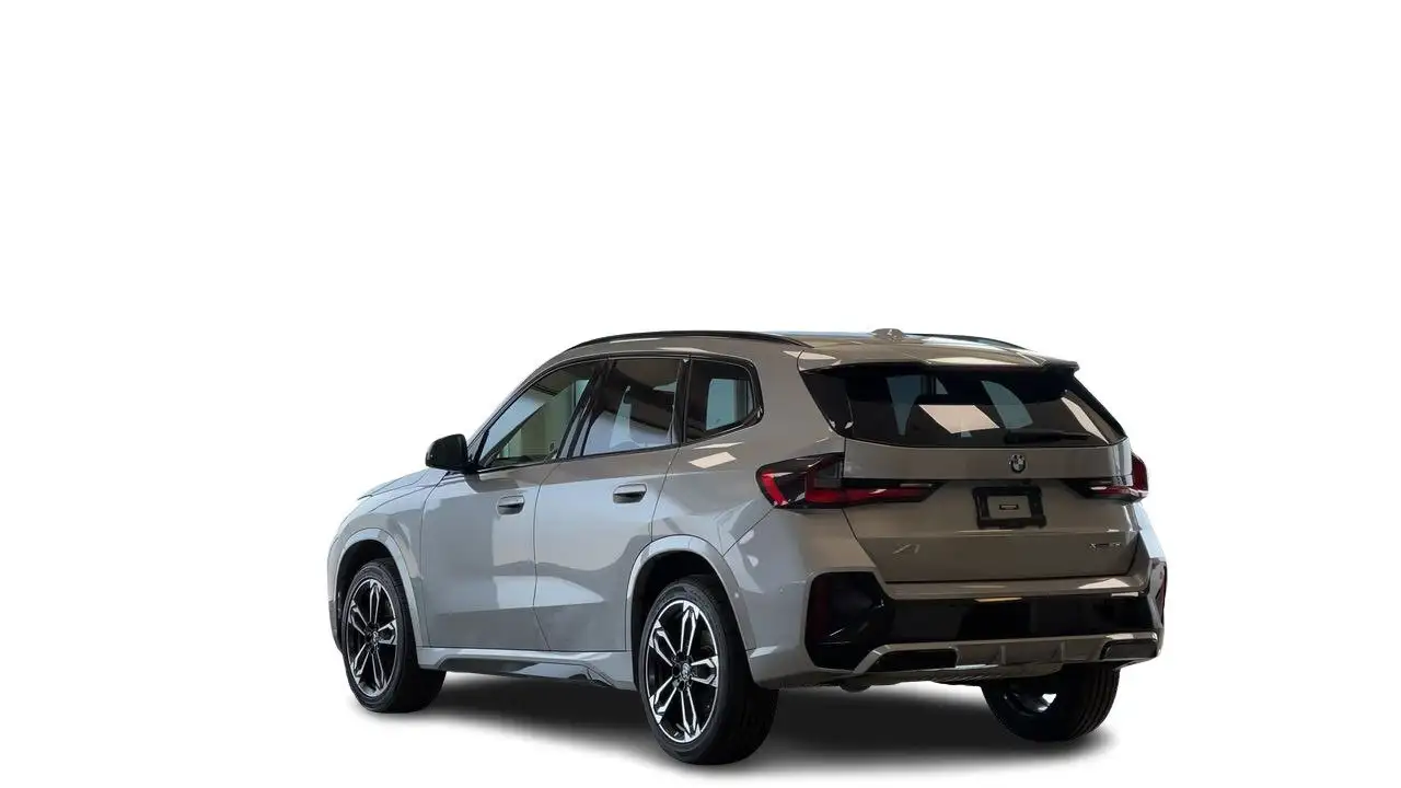 BMW X1 photo BMW X1