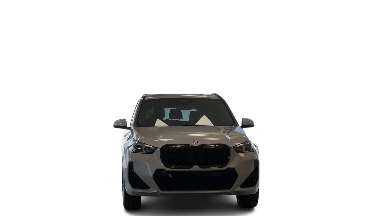 BMW X1 photo BMW X1
