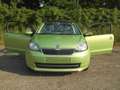 Skoda Citigo Citigo 2012 3p 1.0 g-tec (metano) Ambition Verde - thumbnail 6