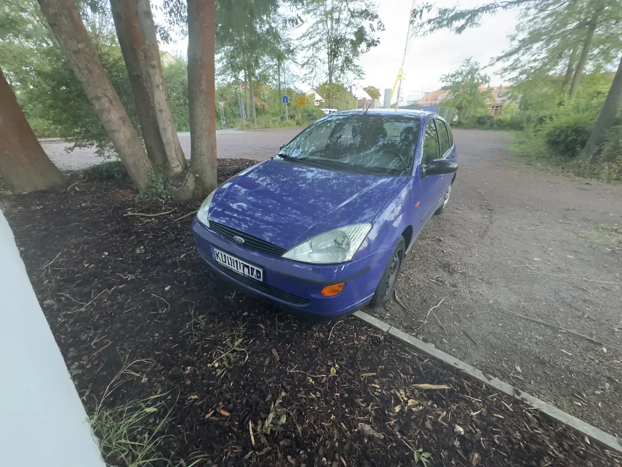 Ford Focus, foto 7