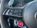Alfa Romeo Stelvio Quadrifoglio V6 2.9 Bi-Turbo 375kW AT8-Q Gris - thumbnail 9