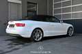 Audi A5 Cabriolet 2.0 TDI Pickerl NEU Weiß - thumbnail 8