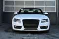 Audi A5 Cabriolet 2.0 TDI Pickerl NEU Weiß - thumbnail 3