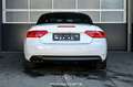 Audi A5 Cabriolet 2.0 TDI Pickerl NEU Weiß - thumbnail 10