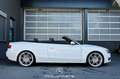Audi A5 Cabriolet 2.0 TDI Pickerl NEU Weiß - thumbnail 4
