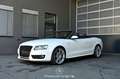 Audi A5 Cabriolet 2.0 TDI Pickerl NEU Weiß - thumbnail 1
